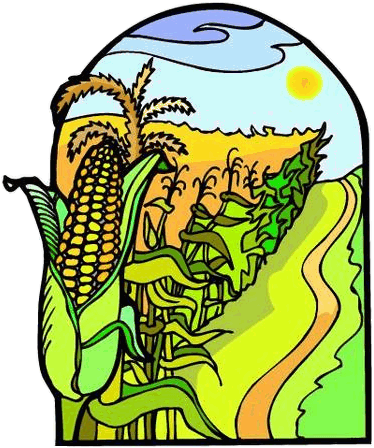corndrawing